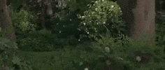horror creeping GIF
