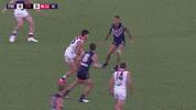 freohighlights aflfreosaints GIF by Fremantle Dockers