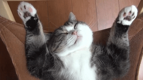 hammock GIF