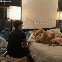 Dog GIF by The Dodo