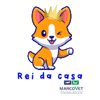 Pet Veterinaria Sticker by Clínica MarcoVet