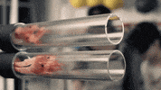 Slow Motion Meat GIF