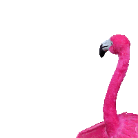 Flamingo Swipe Up Sticker by lastminute.com