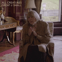 allcreaturestv animals yorkshire tristan veterinarian GIF