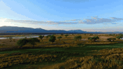 wta yz experts GIF by Yellow Zebra Safaris