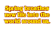 Art Gifart Opticalartinc Text Visuals Phrase Caption Statement Wordart Gif 3D Contemporary Sticker by OpticalArtInc.