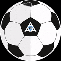 arbitrosaaa aaarbitros GIF