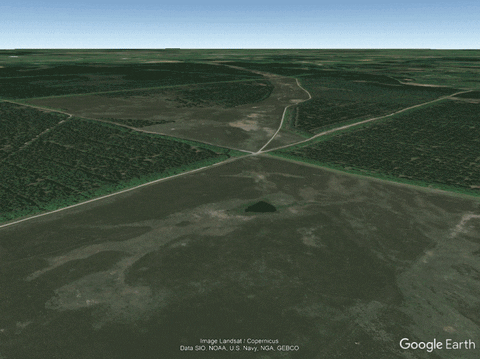 Videnskabdk giphyupload GIF