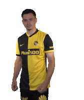 Come On Yes Sticker by BSC Young Boys