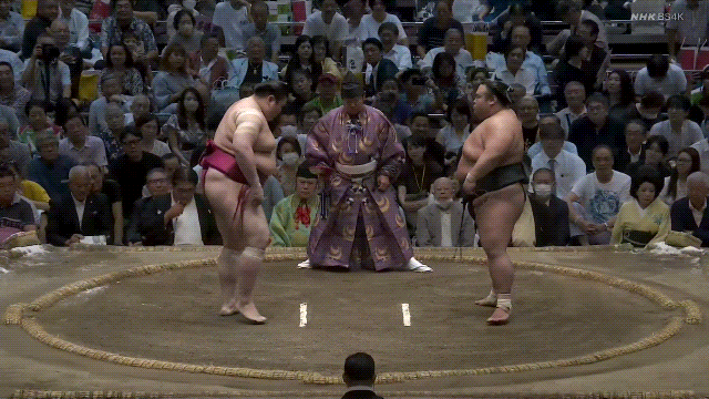 TZ85 giphyupload sumo 2023 aki basho takakeisho GIF