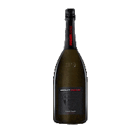 contadicastaldi cheers toast ducati winery Sticker