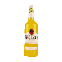 Drinks Sticker by imoji