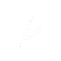 athenatvs white nature minimal leaf Sticker