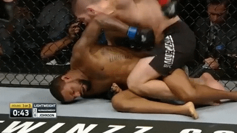 Ufc 205 Mma GIF by UFC