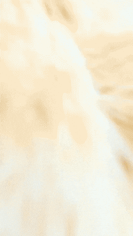 Funny GIF by Youtooz