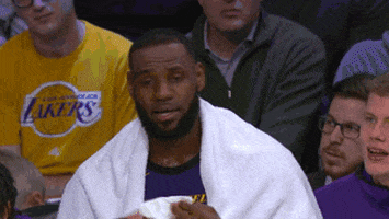 lebron james la GIF by NBA