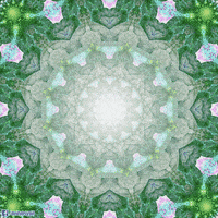 circle mandala GIF by Psyklon