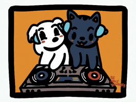 Dog and cat DJ