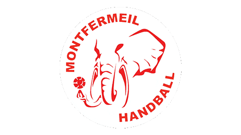 Mhb Sticker by Montfermeil Handball