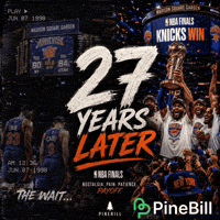 New York Knicks Basketball GIF by PineBill
