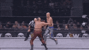 Tully Blanchard Wrestlingmatch GIF by All Elite Wrestling on TNT