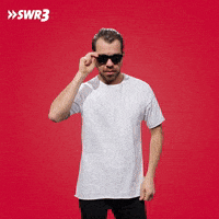 Oh Yeah Yes GIF by SWR3