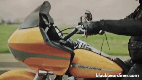 BlackBearDiner giphyupload bear motorcycle bears GIF