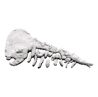 Good Morning Animation Sticker