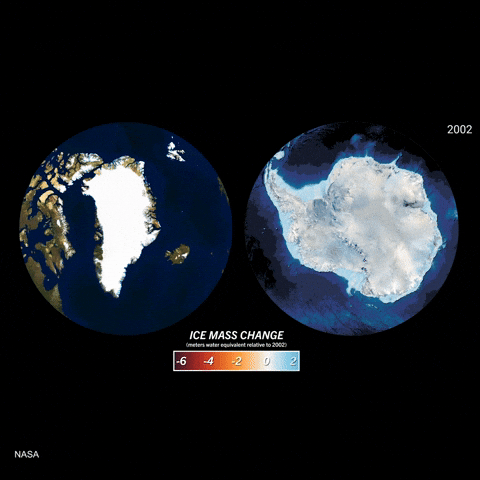 GIF by PBS Digital Studios