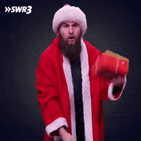 Merry Christmas GIF by SWR3