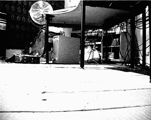 Happy Dance GIF by Royalriver