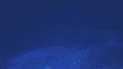 Memorial Day Holiday GIF by Lennar