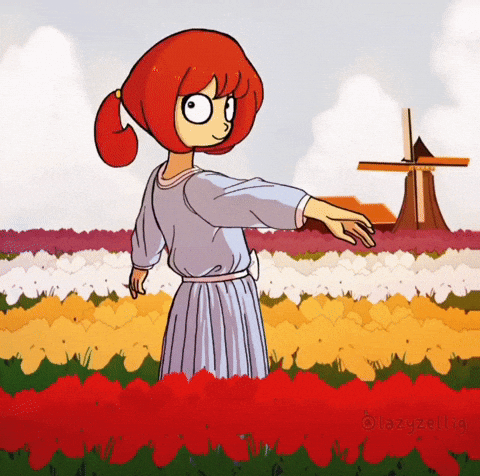 Tulip Fields Netherlands GIF