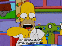 homer simpson GIF
