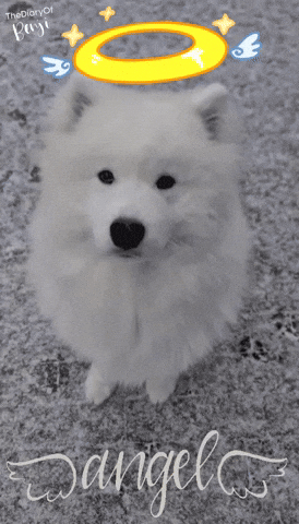 Snow Winter GIF