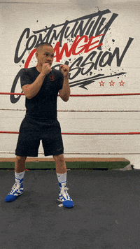 quinitboxing  GIF