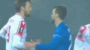 Uefaeuropaleague GIF by sportmts