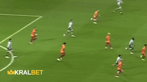 GIF by kralbet