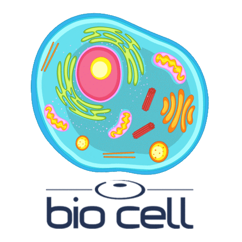 biocell giphyupload biocell celulastroncobiocell celulastronco Sticker
