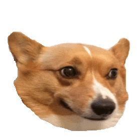 corgi STICKER by imoji