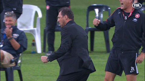 wswanderersfc giphyupload football celebration goal GIF