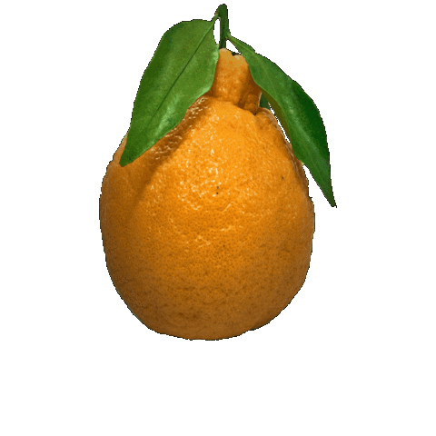 Orange Sticker by suikanosato