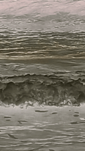 Simongip giphyupload GIF