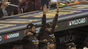 Wild Card Yes GIF by MLB