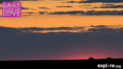 sunset love GIF by explore.org