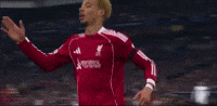 Champions League Football GIF