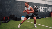 Personal Trainer Workout GIF by Onnit