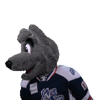 Wolf Pack Hockey Sticker by Hartford Wolf Pack