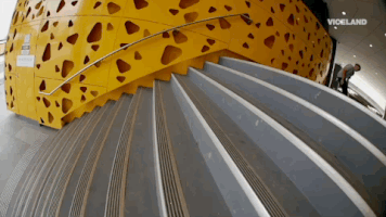 viceland GIF by KING OF THE ROAD