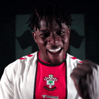 Premier League Football GIF by Southampton FC